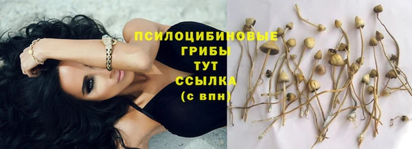 бутират Абаза