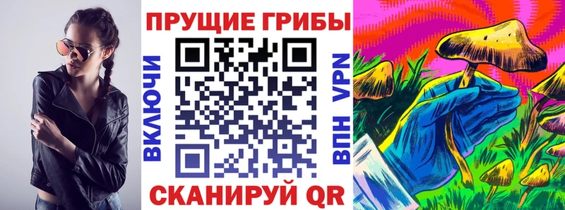 OMG ссылки  Лосино-Петровский  Псилоцибиновые грибы Magic Shrooms 
